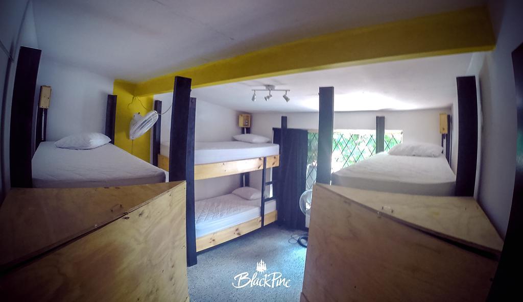 Blackpine Hostel Medellín Exterior foto